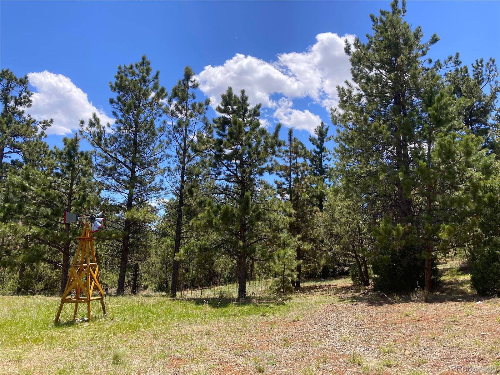 MLS Image #7 for 10475  cr 12 ,cotopaxi, Colorado