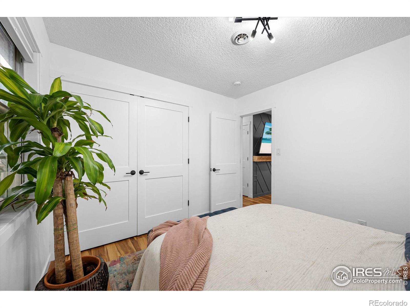 MLS Image #20 for 2806 w woodford avenue,fort collins, Colorado