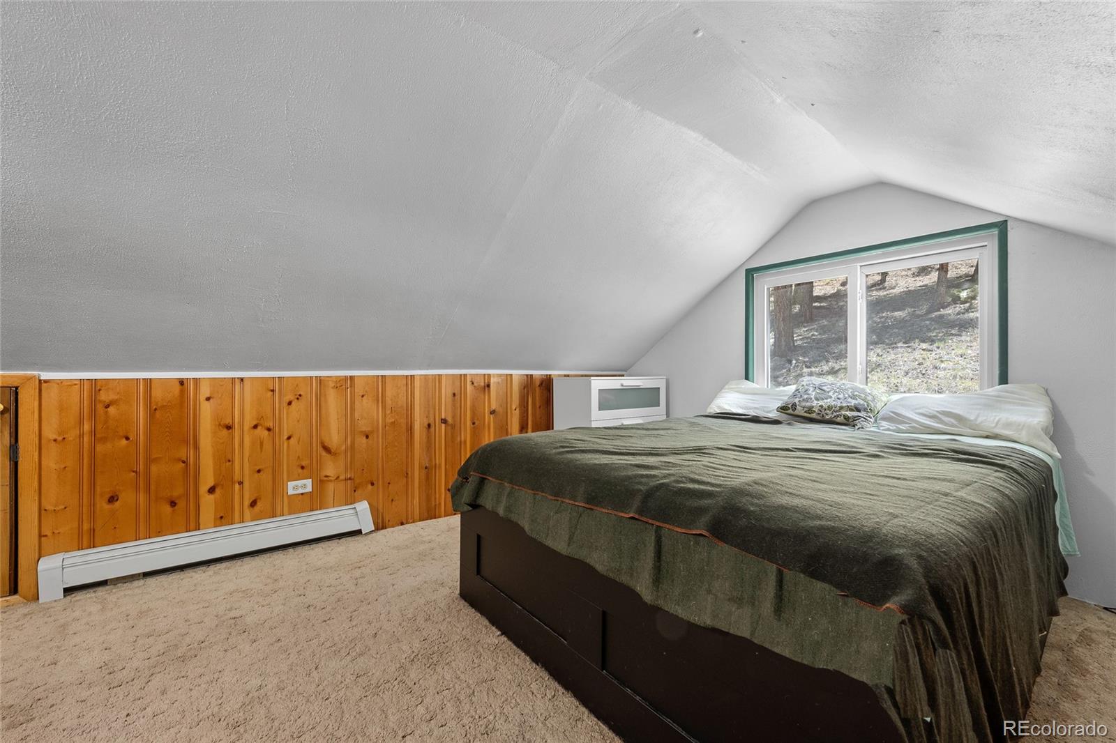 MLS Image #12 for 684  old state road,bailey, Colorado