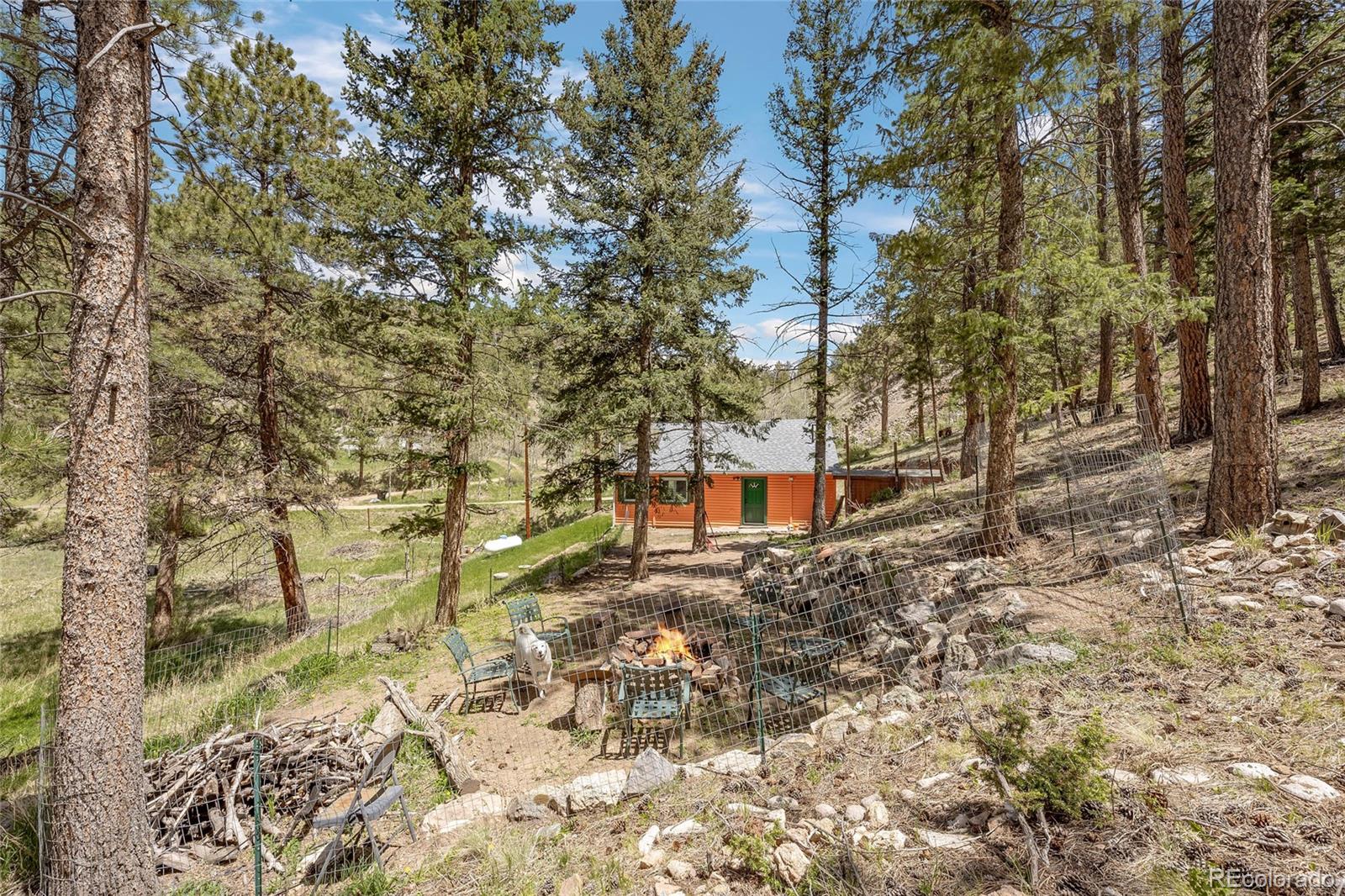 MLS Image #22 for 684  old state road,bailey, Colorado