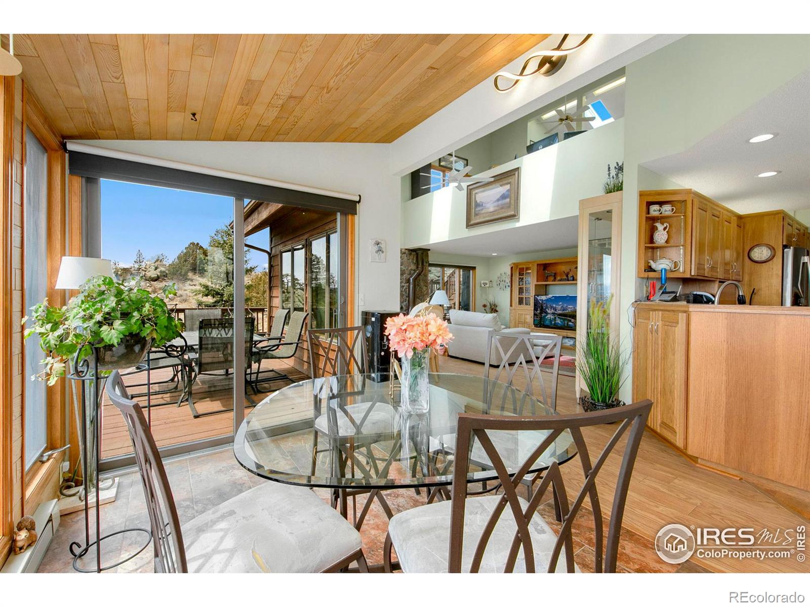 MLS Image #11 for 131  mount apiatan court,livermore, Colorado