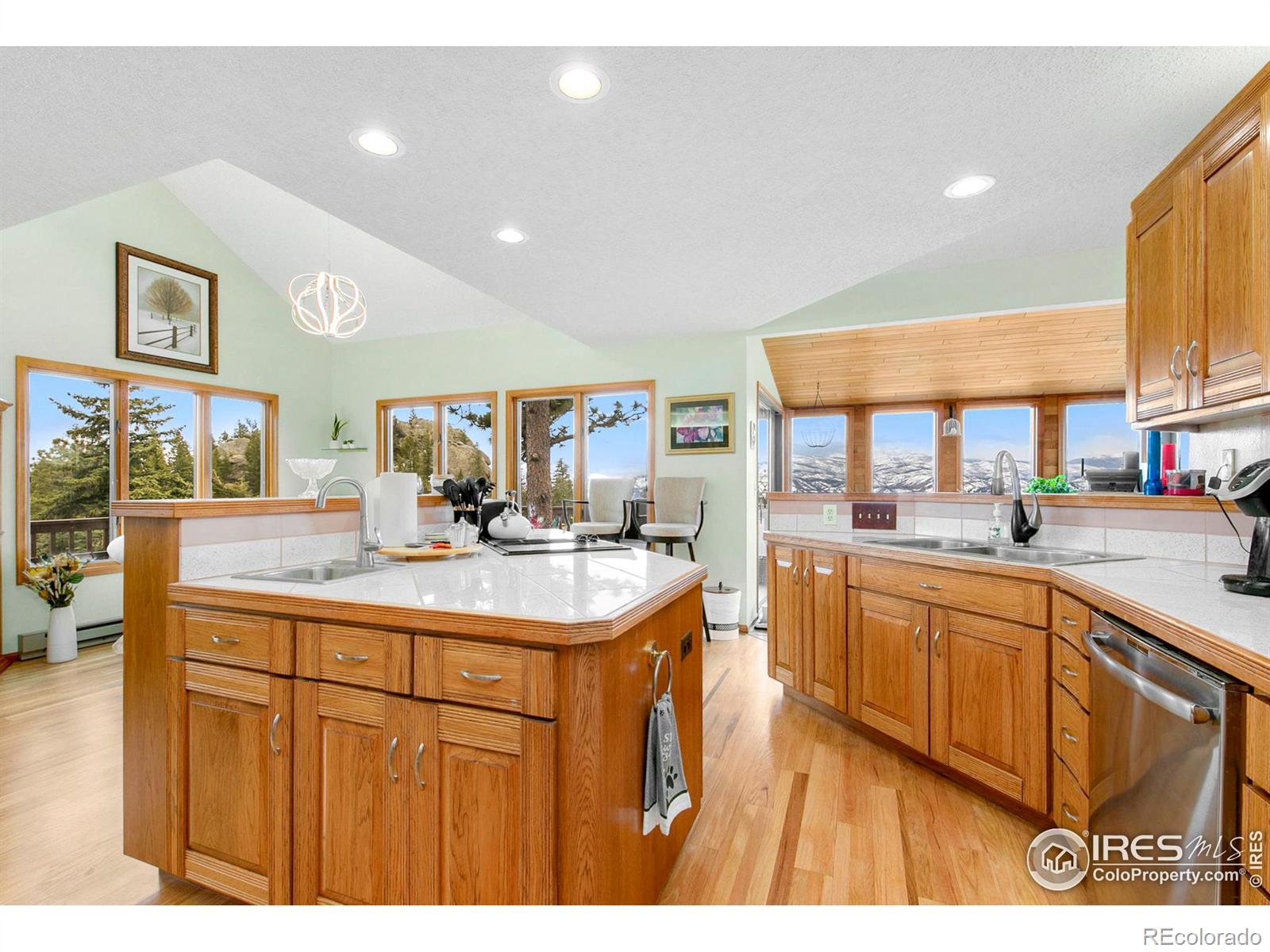 MLS Image #5 for 131  mount apiatan court,livermore, Colorado