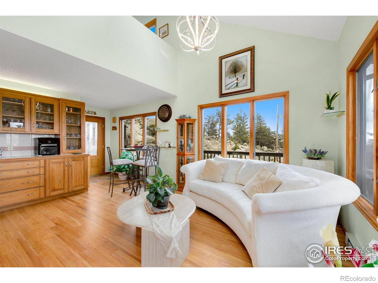 MLS Image #8 for 131  mount apiatan court,livermore, Colorado