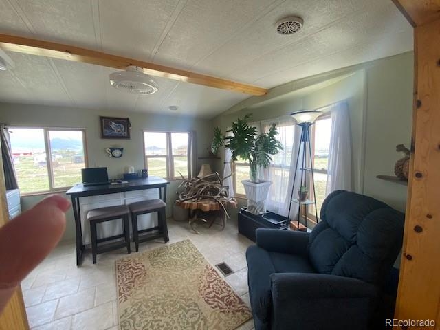 MLS Image #5 for 128  limerick lane,westcliffe, Colorado