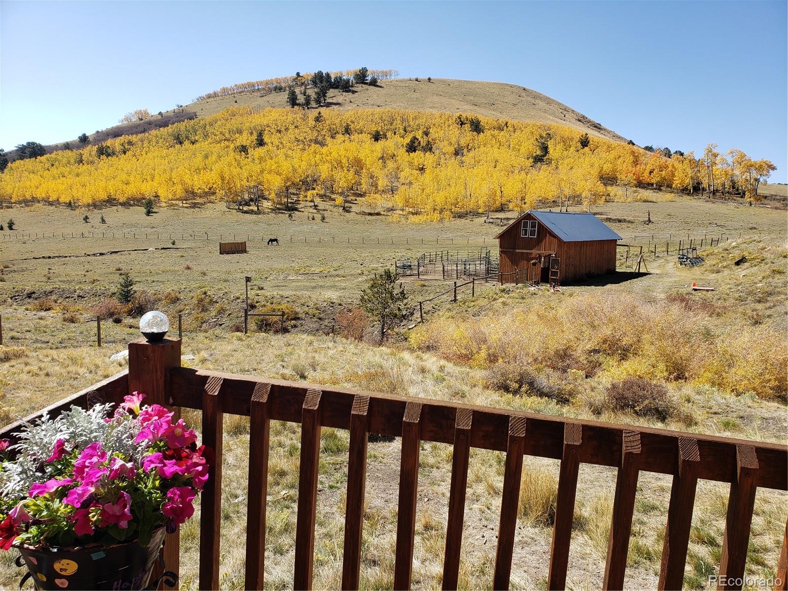 MLS Image #0 for 48  grouse run,cotopaxi, Colorado