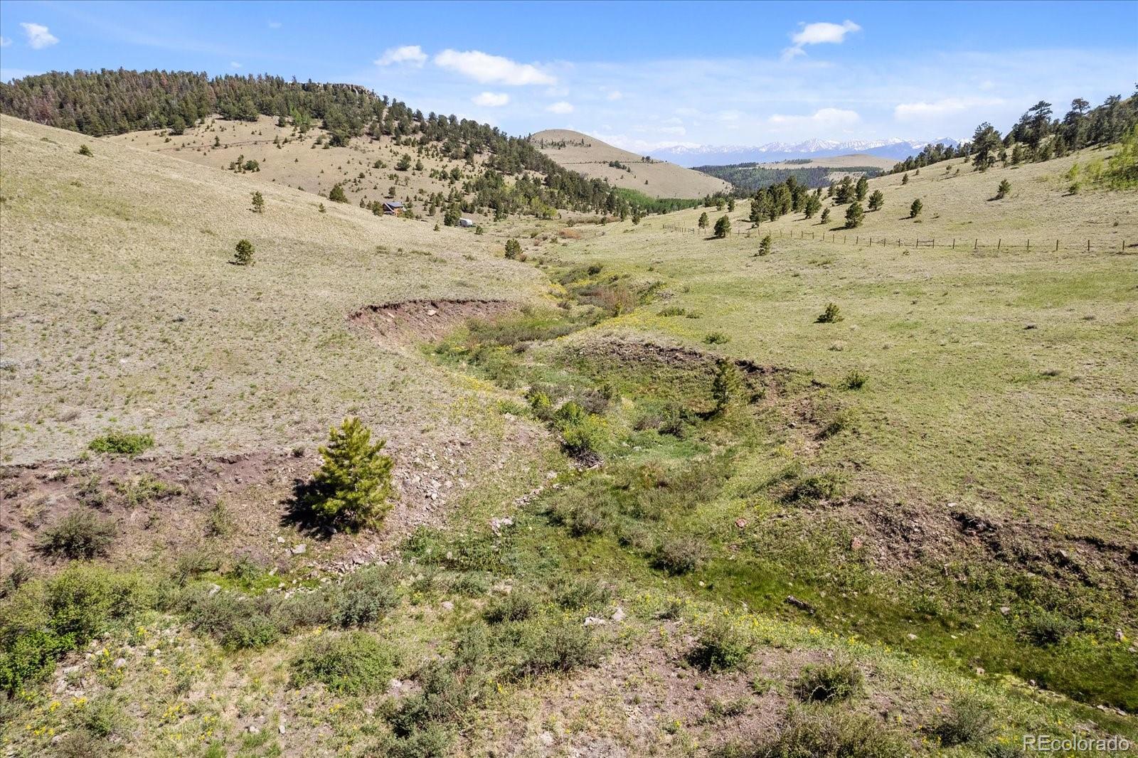 MLS Image #32 for 48  grouse run,cotopaxi, Colorado