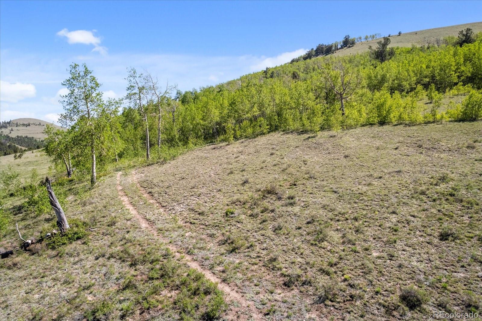 MLS Image #33 for 48  grouse run,cotopaxi, Colorado