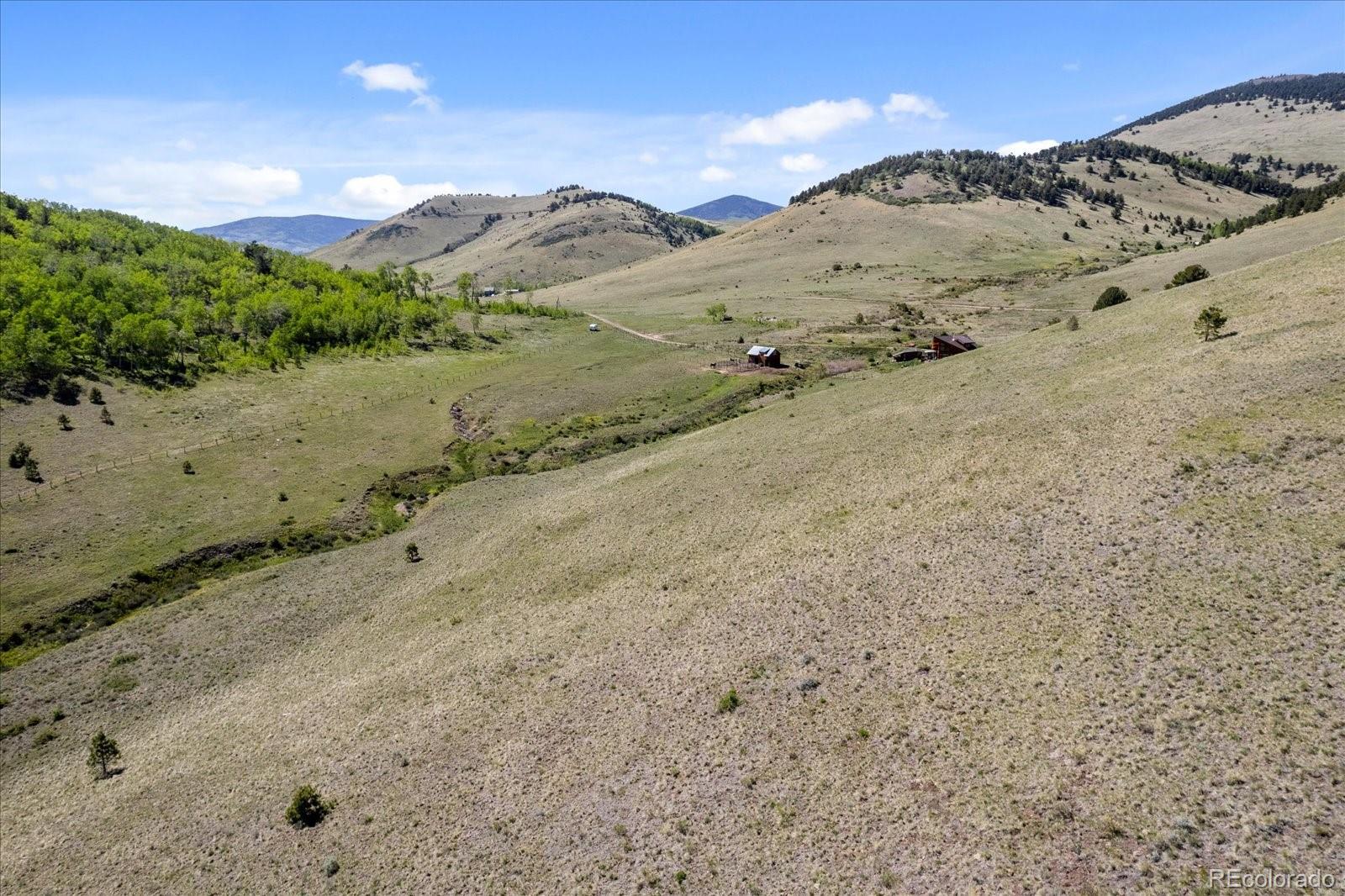 MLS Image #35 for 48  grouse run,cotopaxi, Colorado