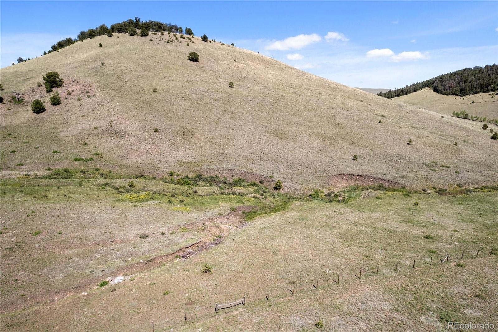 MLS Image #39 for 48  grouse run,cotopaxi, Colorado