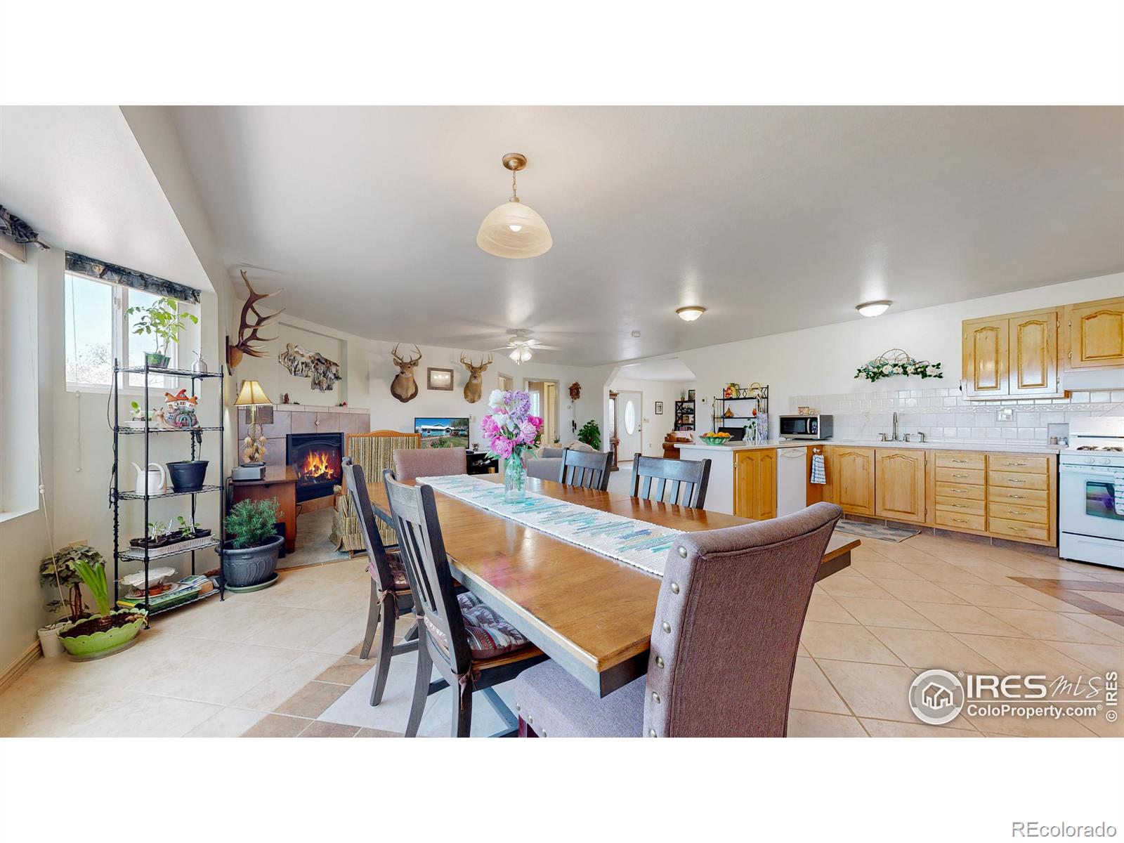 MLS Image #4 for 18309  county road 86 ,ault, Colorado