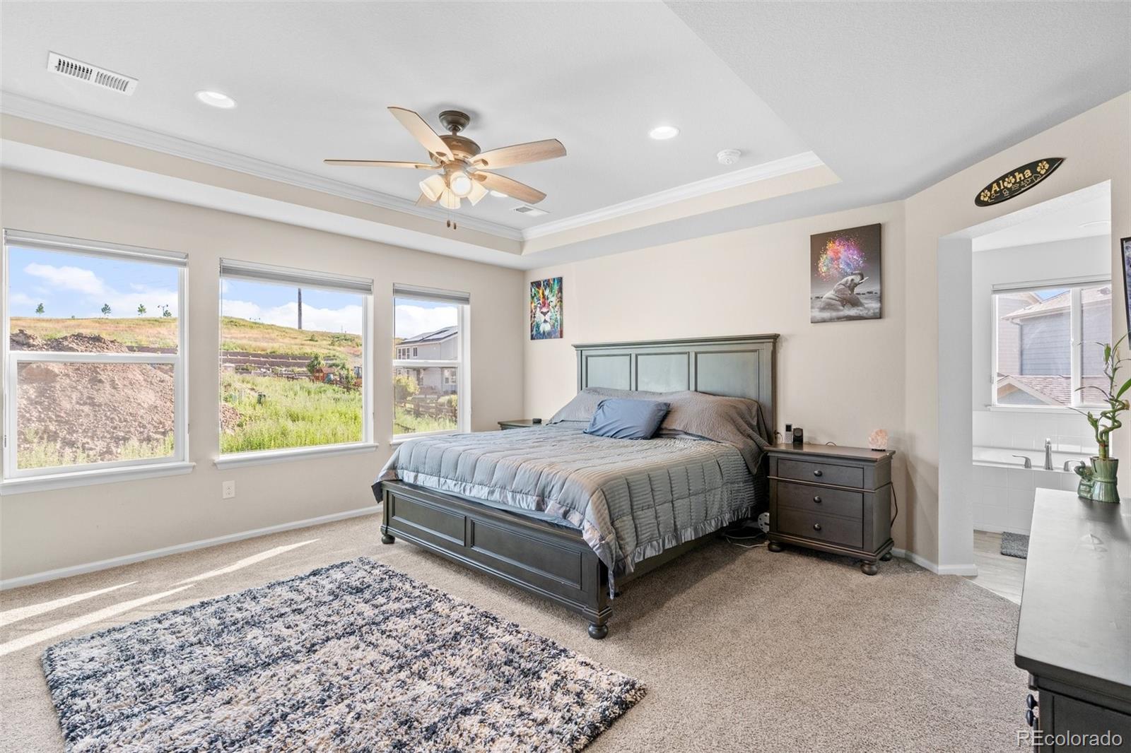 MLS Image #14 for 17880 w 94th drive,arvada, Colorado