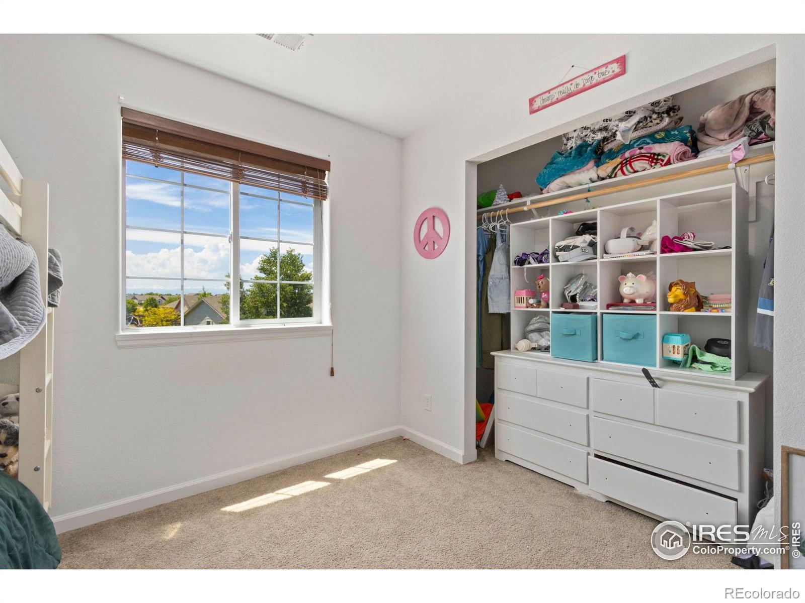 MLS Image #7 for 582 s carriage drive,milliken, Colorado