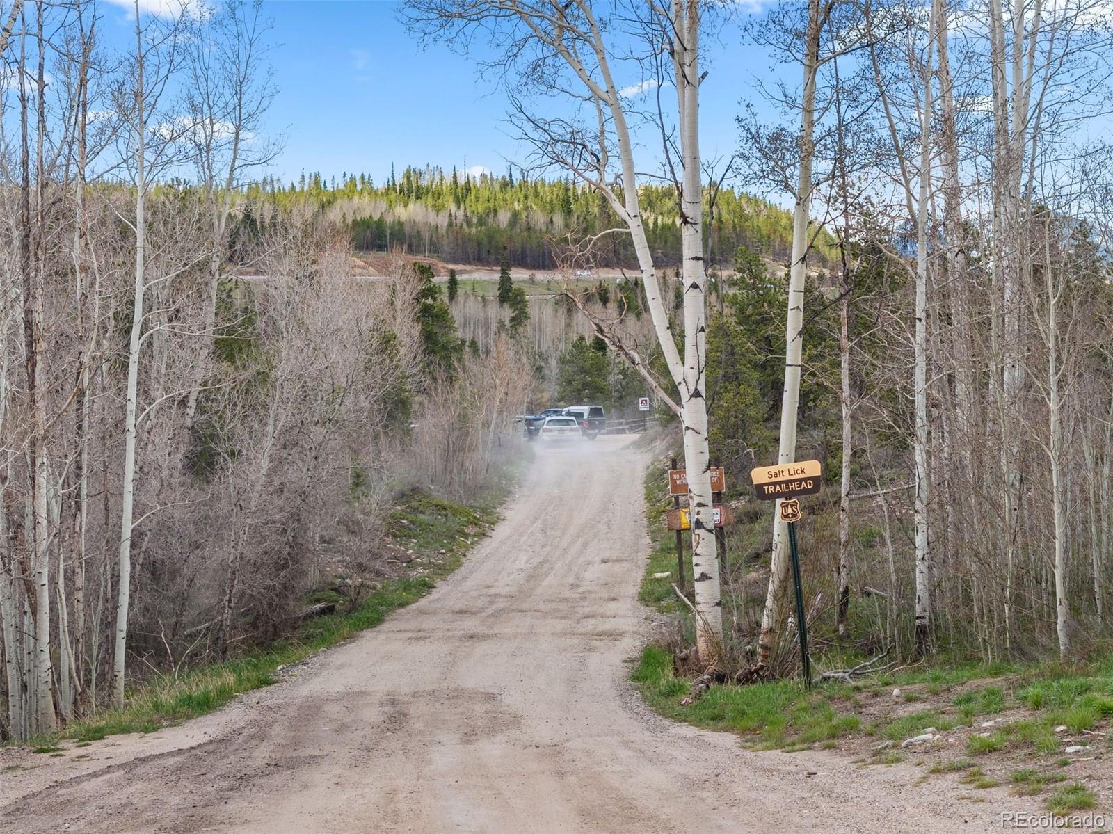 MLS Image #22 for 3615  ryan gulch road,silverthorne, Colorado