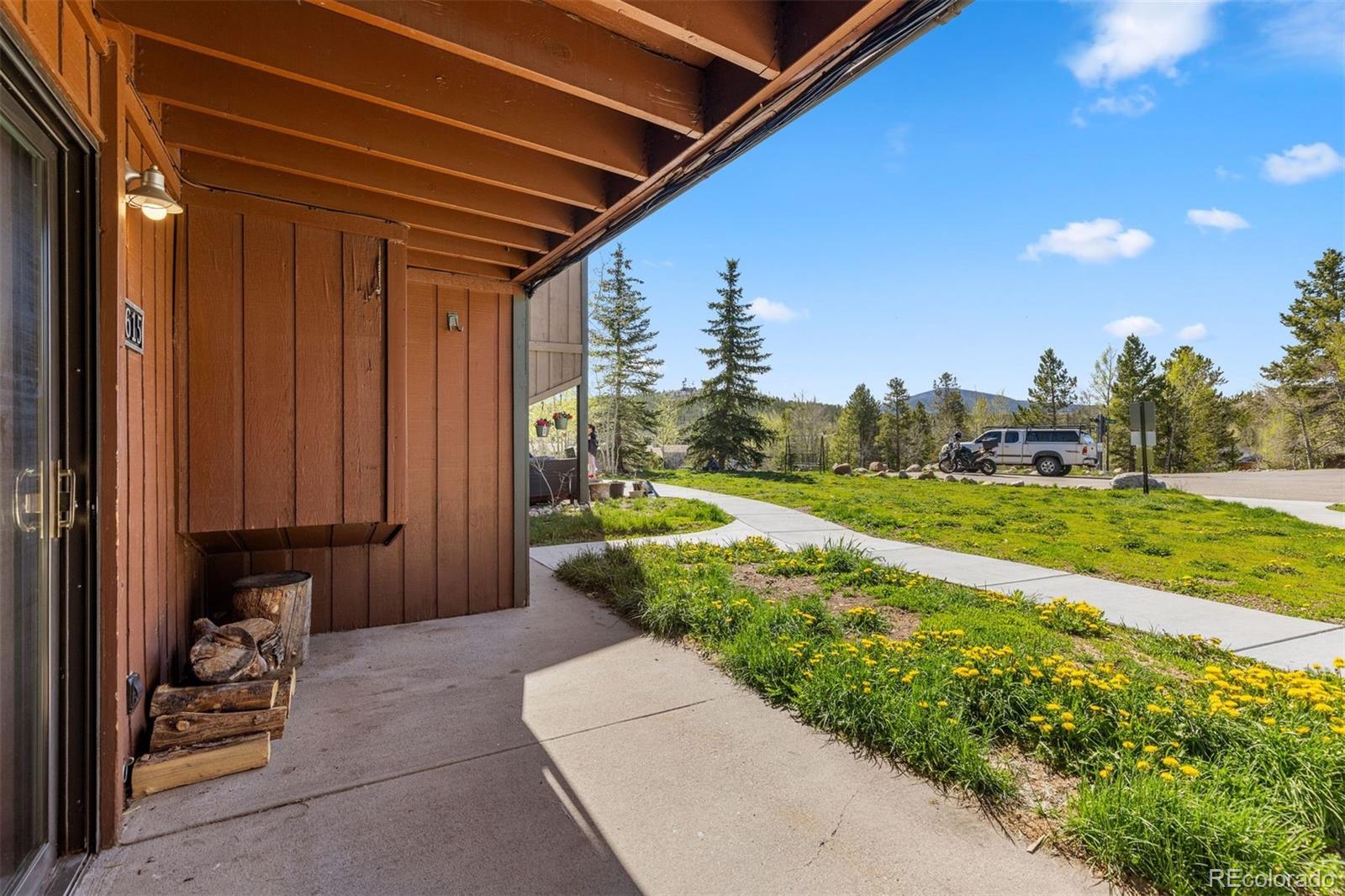 MLS Image #4 for 3615  ryan gulch road,silverthorne, Colorado