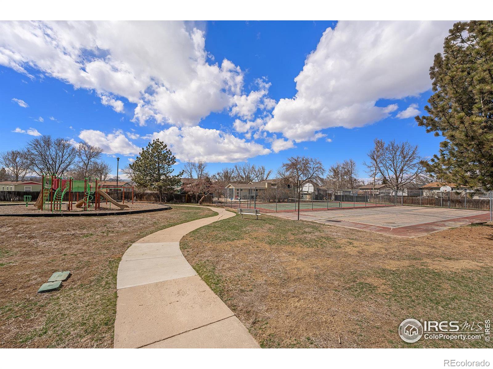 MLS Image #10 for 8509  mummy range drive,fort collins, Colorado