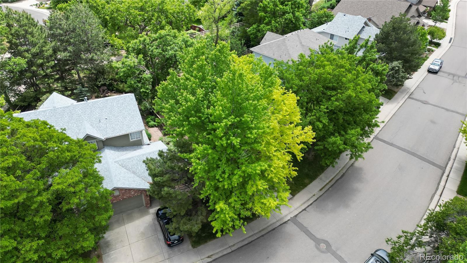 MLS Image #29 for 592  portside court,lafayette, Colorado