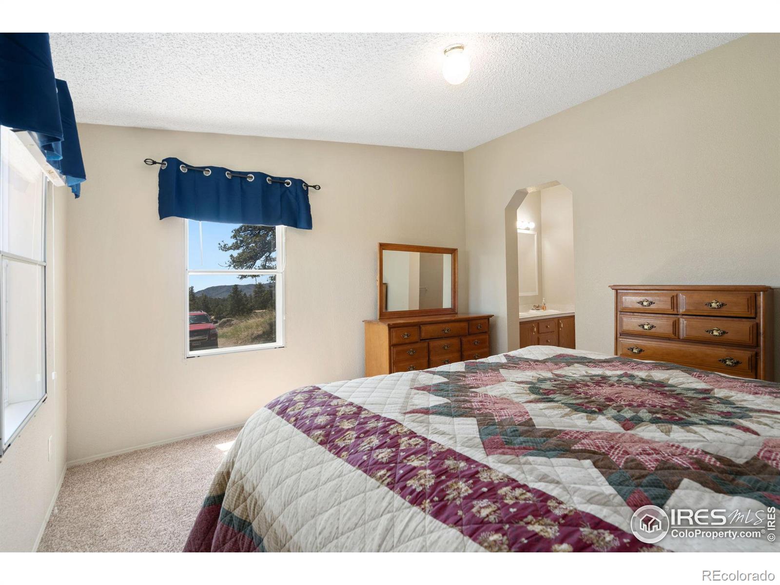 MLS Image #14 for 31  mckenna court,livermore, Colorado