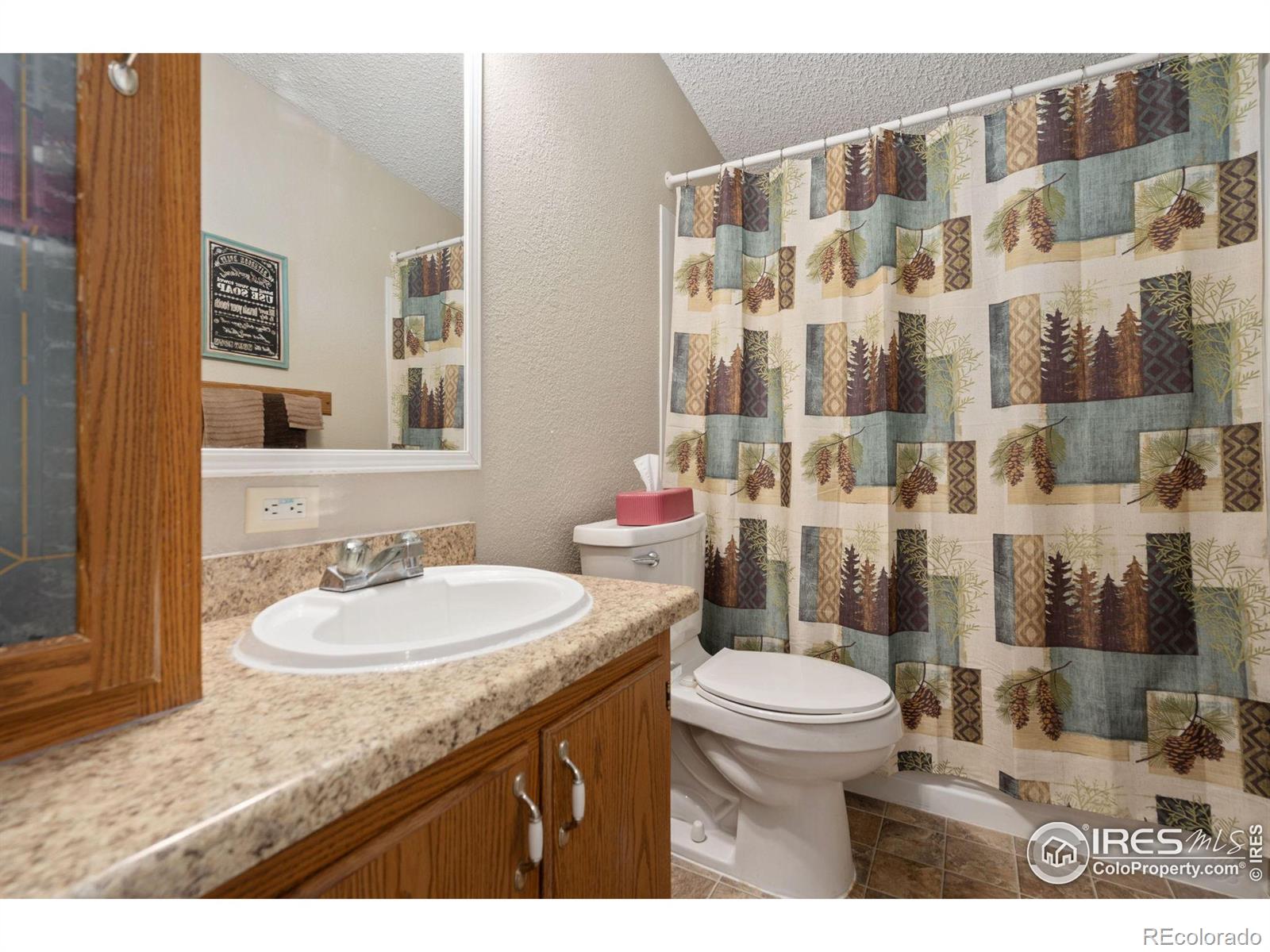 MLS Image #17 for 31  mckenna court,livermore, Colorado