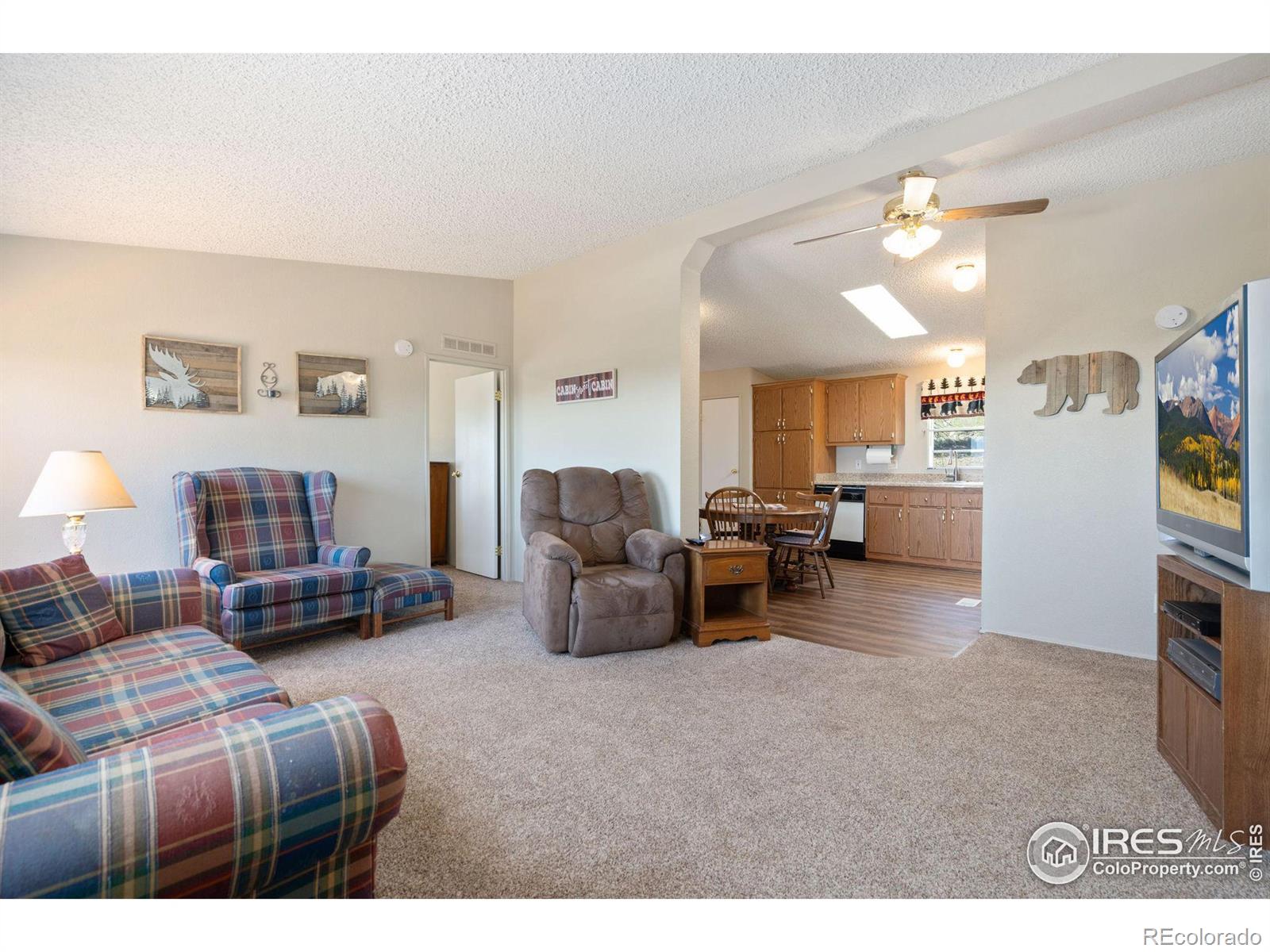 MLS Image #6 for 31  mckenna court,livermore, Colorado