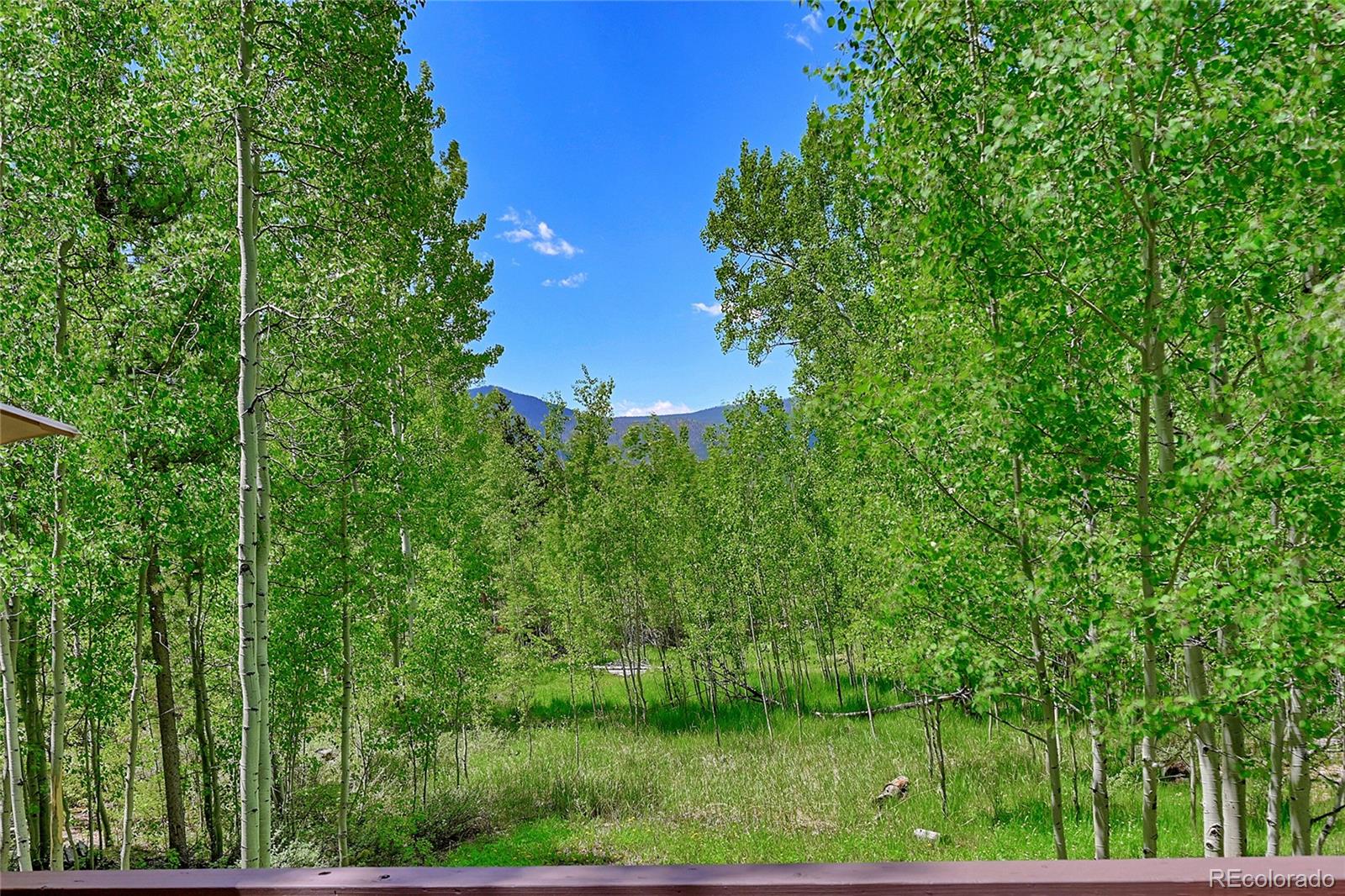 MLS Image #30 for 734  fawn drive,tabernash, Colorado