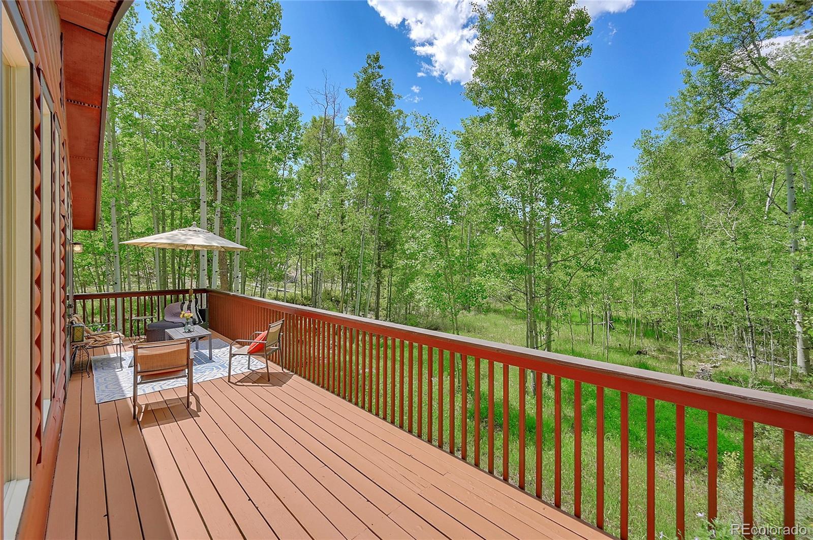 MLS Image #4 for 734  fawn drive,tabernash, Colorado