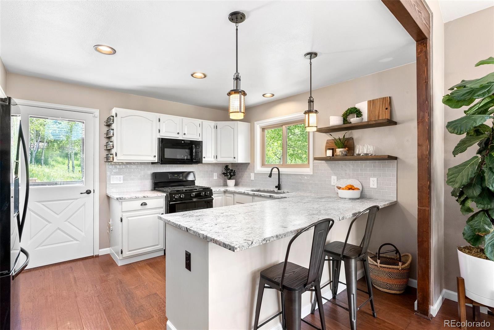 MLS Image #10 for 12171 s critchell lane,littleton, Colorado