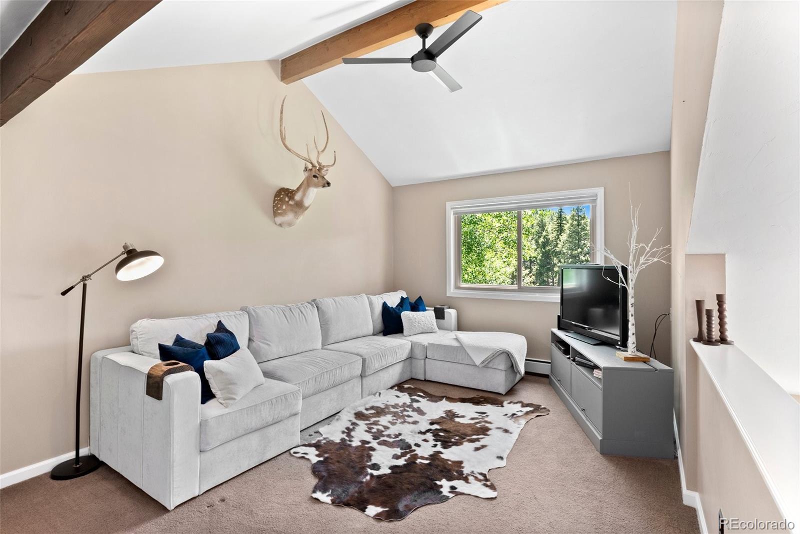 MLS Image #15 for 12171 s critchell lane,littleton, Colorado