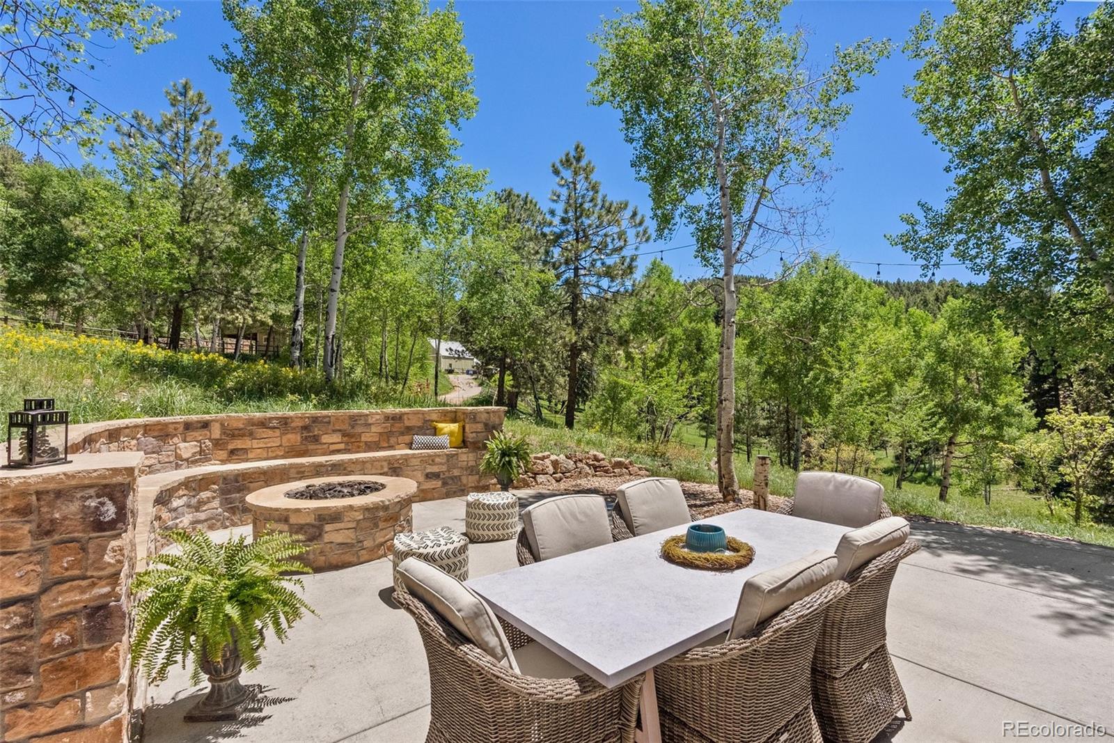 MLS Image #4 for 12171 s critchell lane,littleton, Colorado