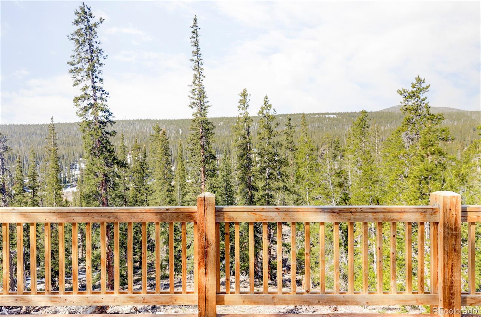 MLS Image #32 for 1207  guymard road,fairplay, Colorado