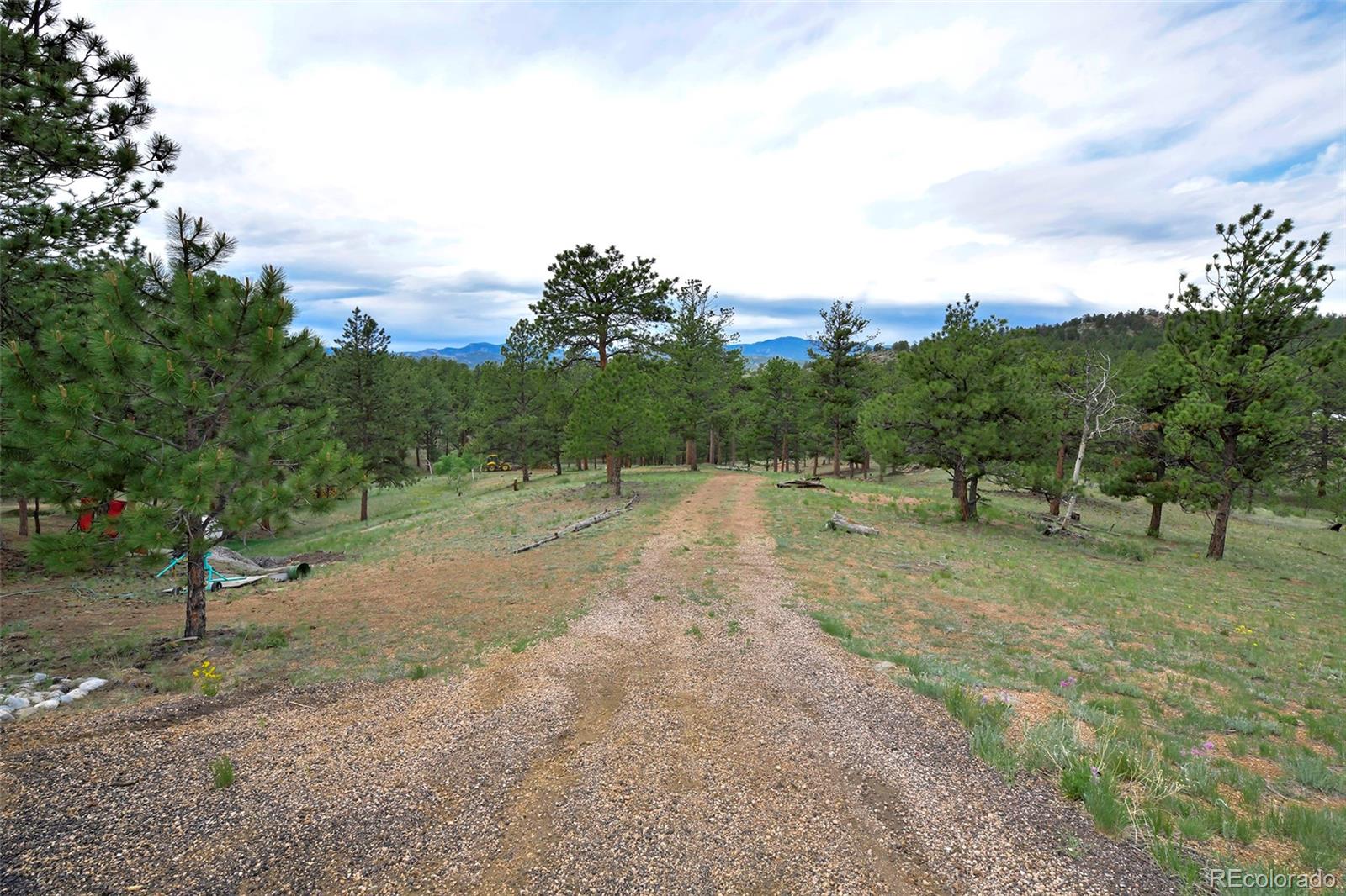 MLS Image #1 for 201  lake drive,florissant, Colorado