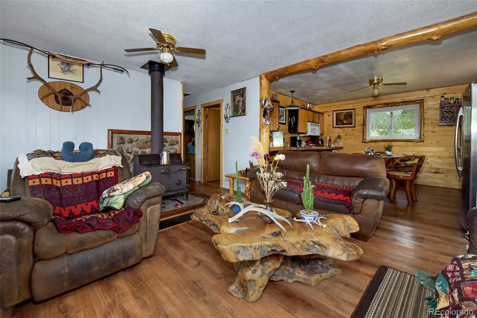 MLS Image #15 for 201  lake drive,florissant, Colorado