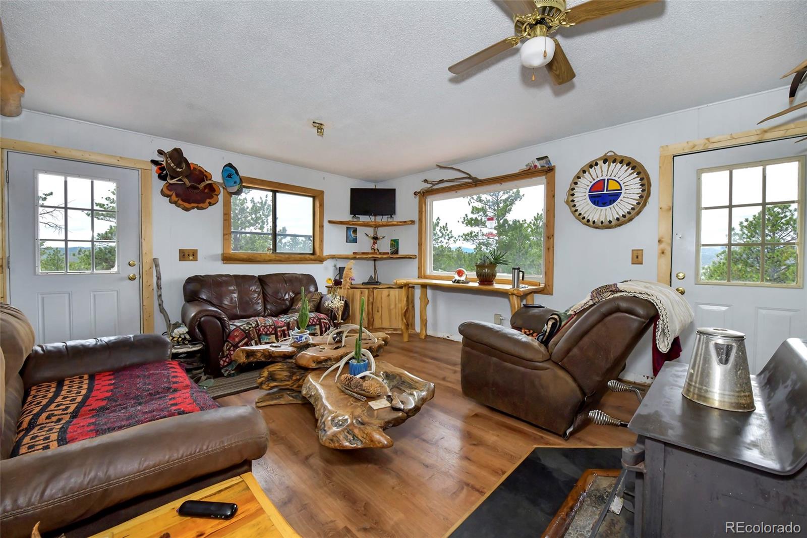 MLS Image #17 for 201  lake drive,florissant, Colorado