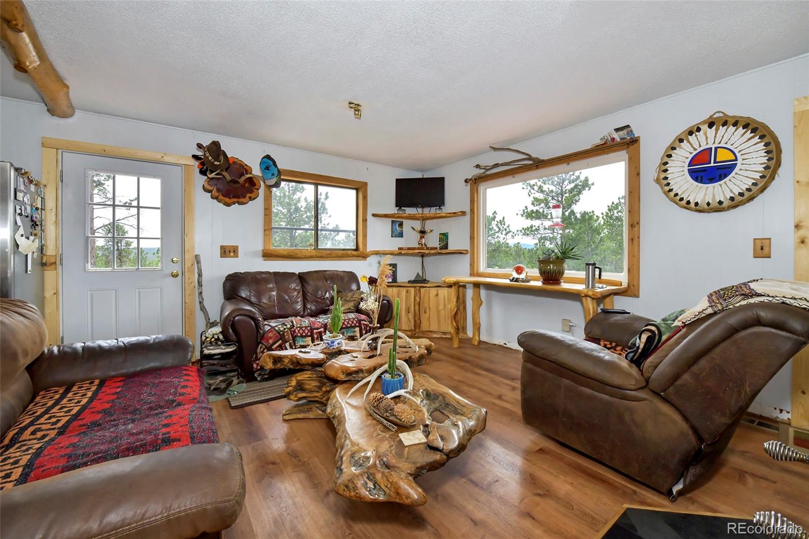 MLS Image #18 for 201  lake drive,florissant, Colorado