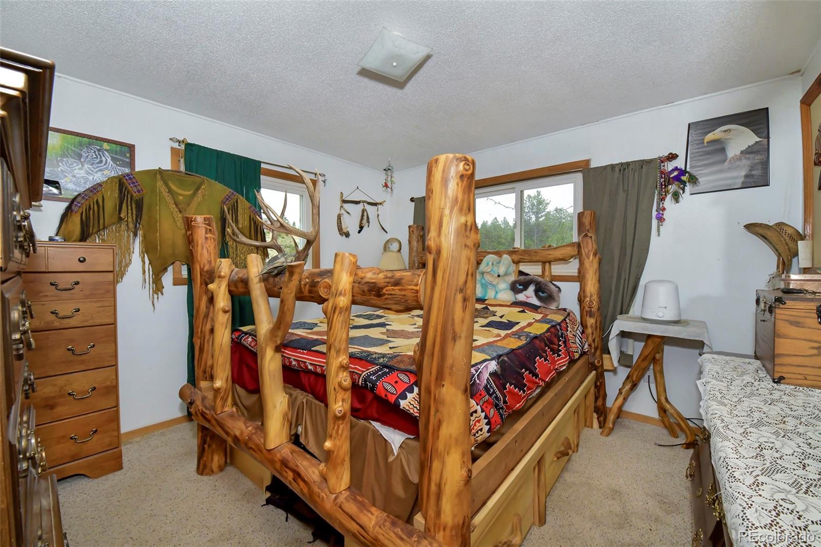 MLS Image #24 for 201  lake drive,florissant, Colorado