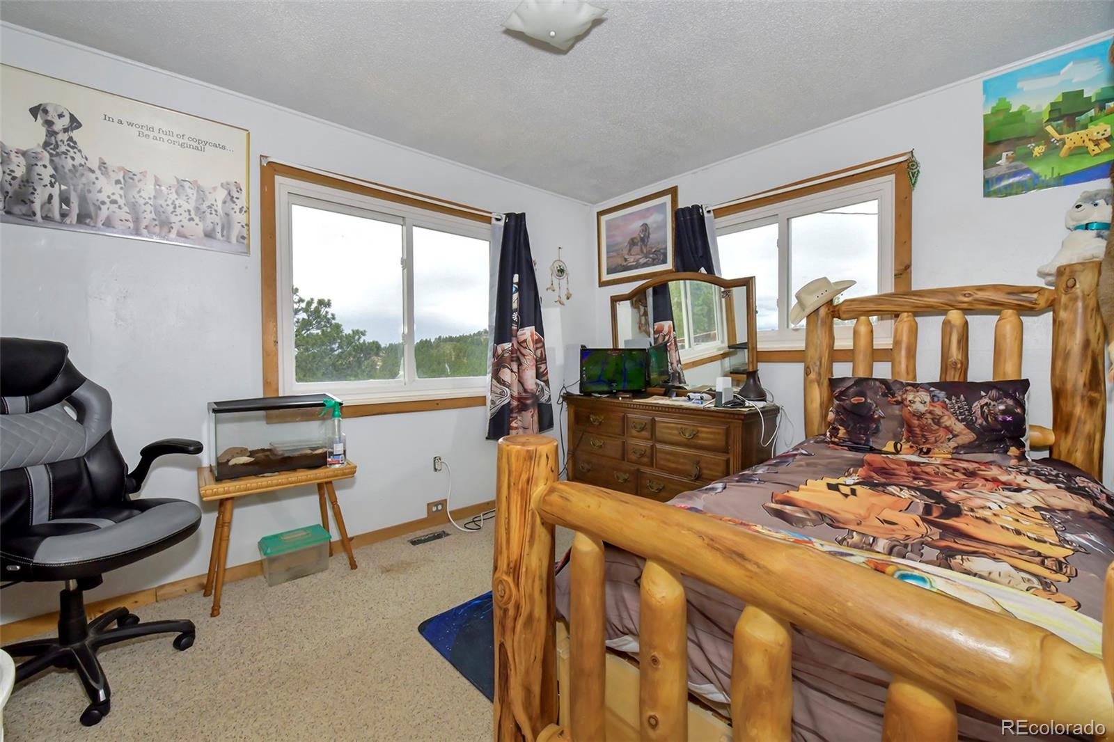 MLS Image #26 for 201  lake drive,florissant, Colorado