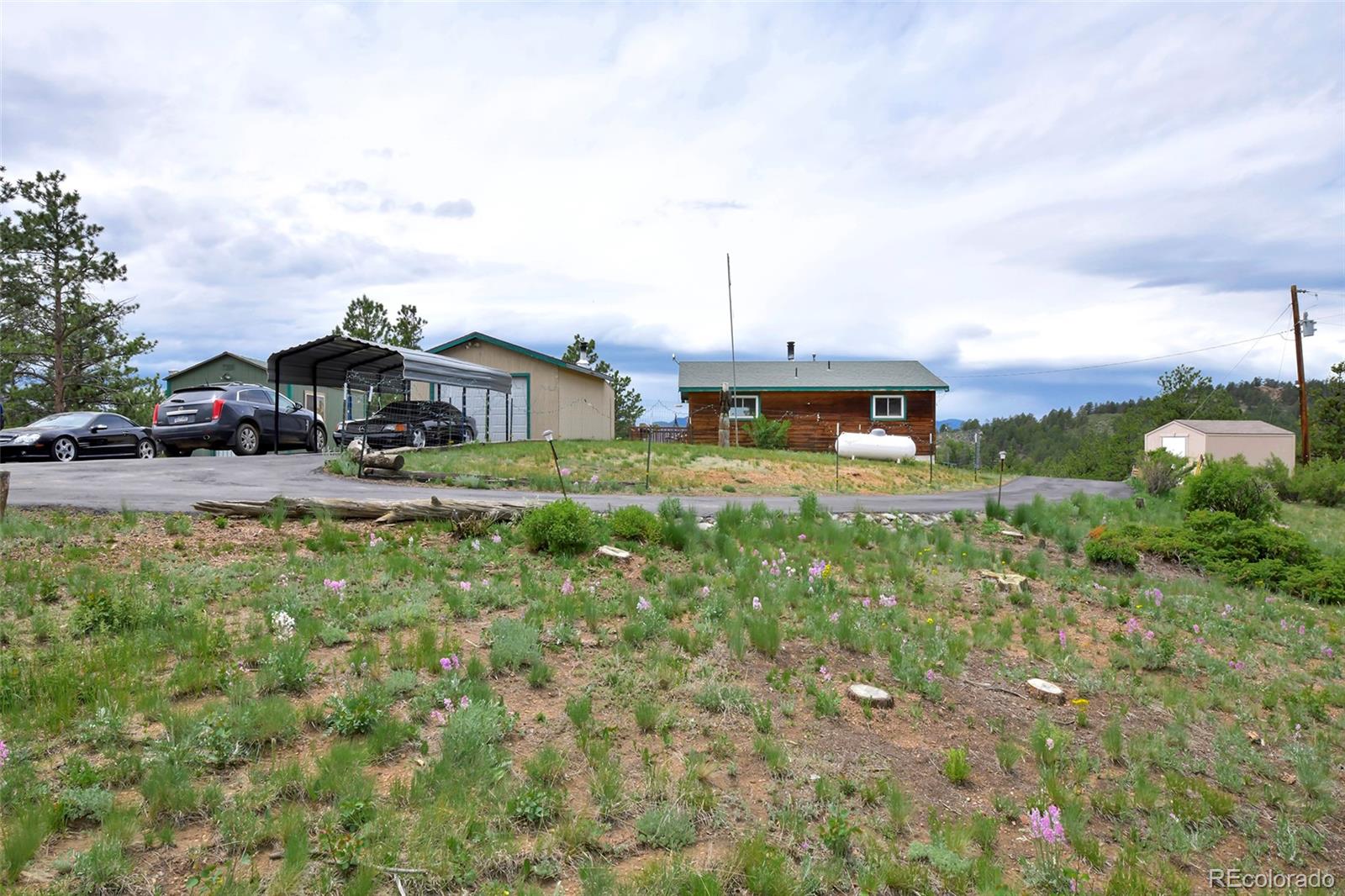 MLS Image #28 for 201  lake drive,florissant, Colorado