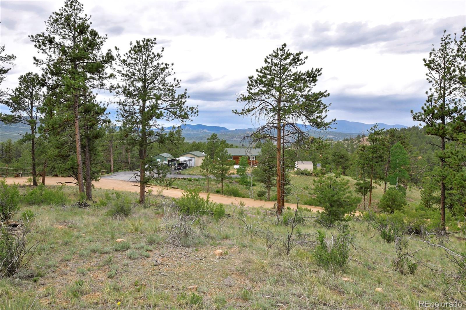 MLS Image #5 for 201  lake drive,florissant, Colorado