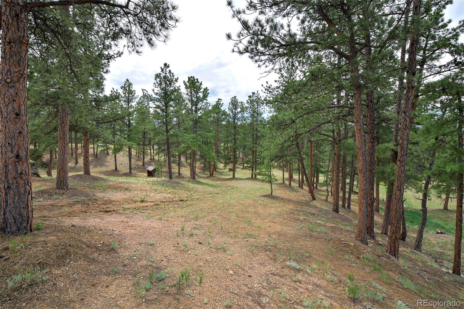 MLS Image #6 for 201  lake drive,florissant, Colorado