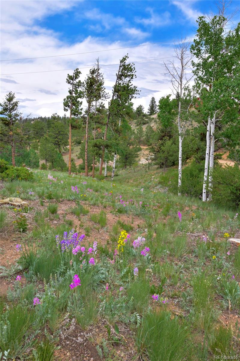 MLS Image #7 for 201  lake drive,florissant, Colorado