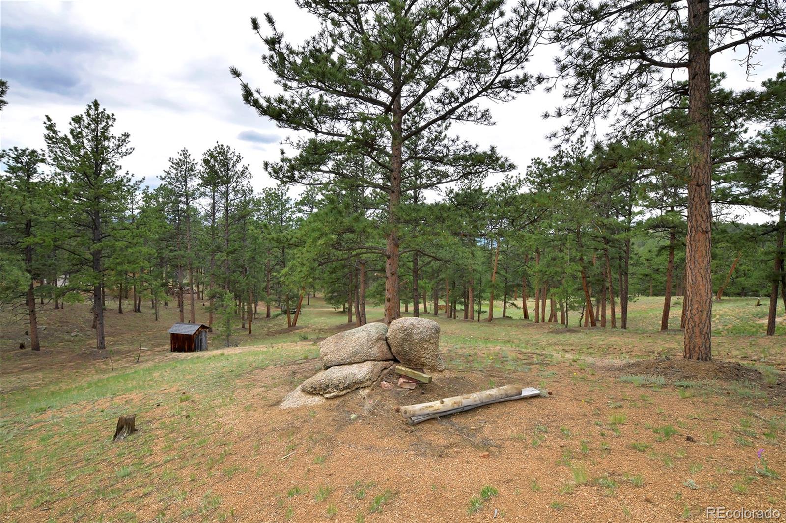 MLS Image #8 for 201  lake drive,florissant, Colorado