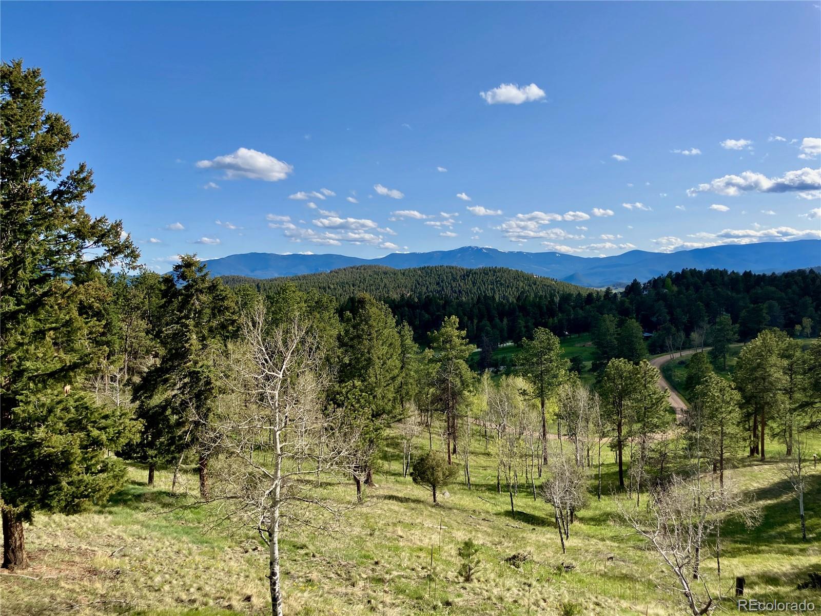 MLS Image #34 for 28532  hummingbird hill road,conifer, Colorado