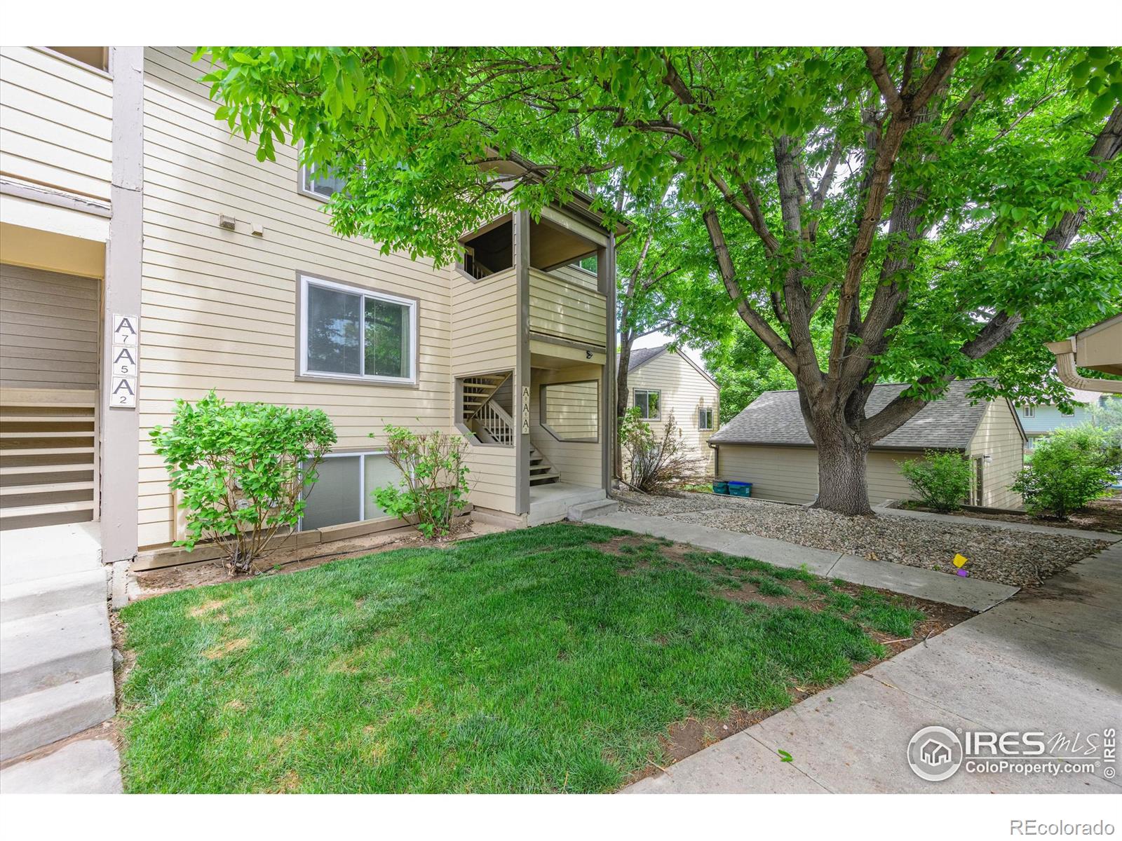 CMA Image for 3465  Lochwood Drive,Fort Collins, Colorado