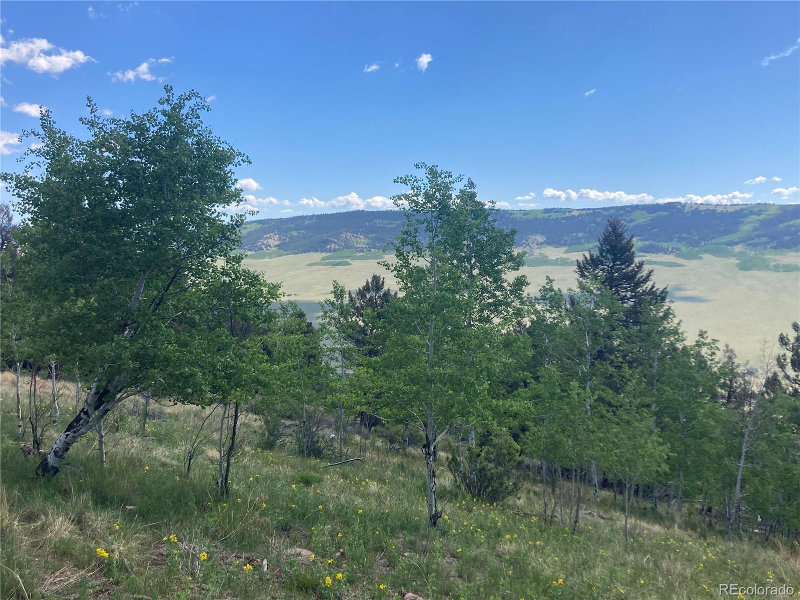 MLS Image #4 for 5815  middle fork vista,fairplay, Colorado