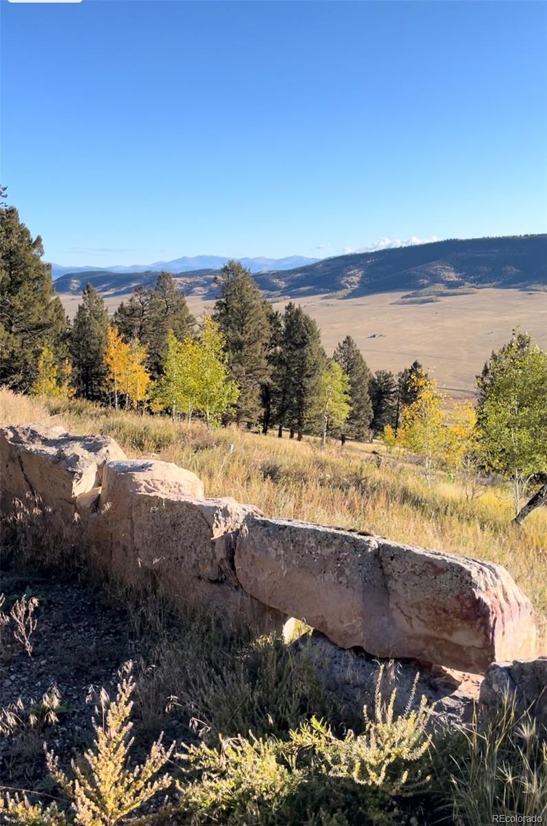 MLS Image #6 for 5815  middle fork vista,fairplay, Colorado