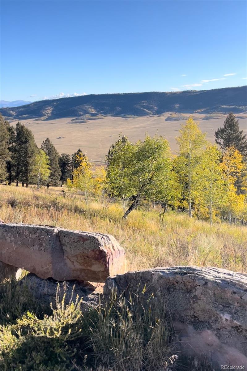 MLS Image #7 for 5815  middle fork vista,fairplay, Colorado