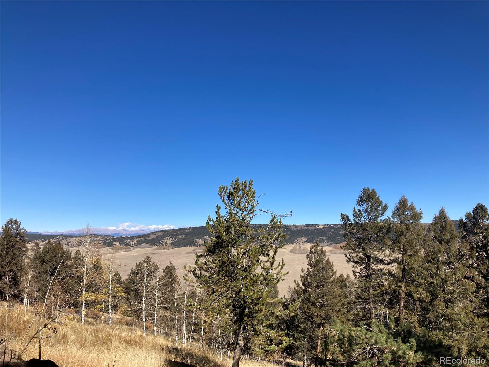 MLS Image #9 for 5815  middle fork vista,fairplay, Colorado