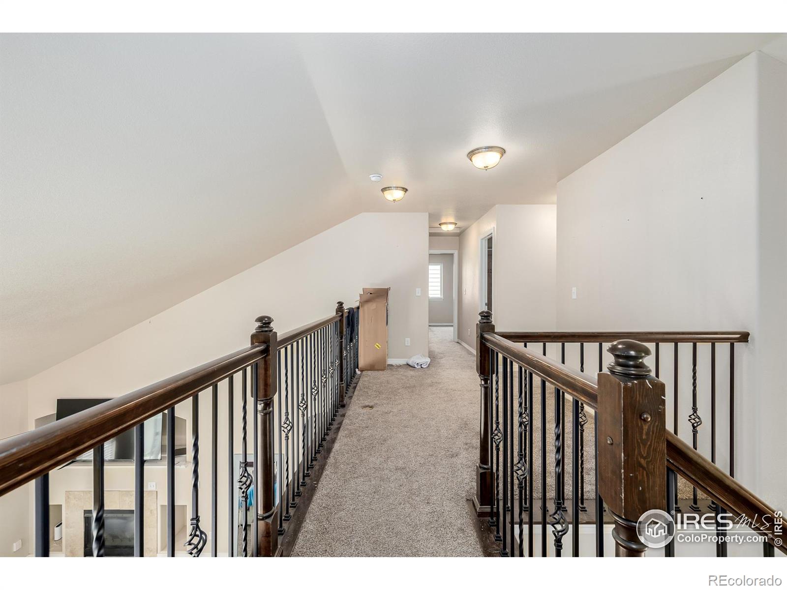 MLS Image #13 for 959  antila avenue,loveland, Colorado