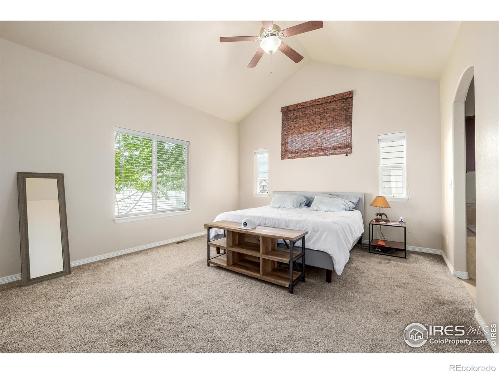 MLS Image #14 for 959  antila avenue,loveland, Colorado