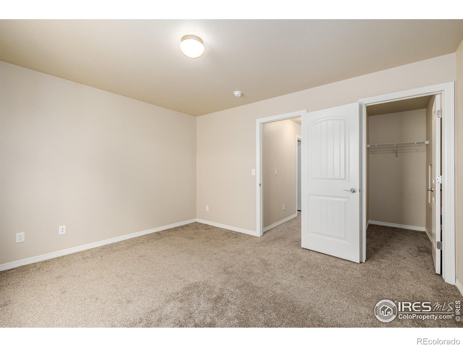 MLS Image #30 for 959  antila avenue,loveland, Colorado