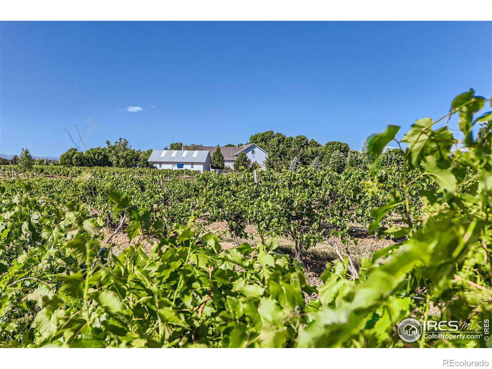 MLS Image #32 for 4480  hoot owl drive,berthoud, Colorado